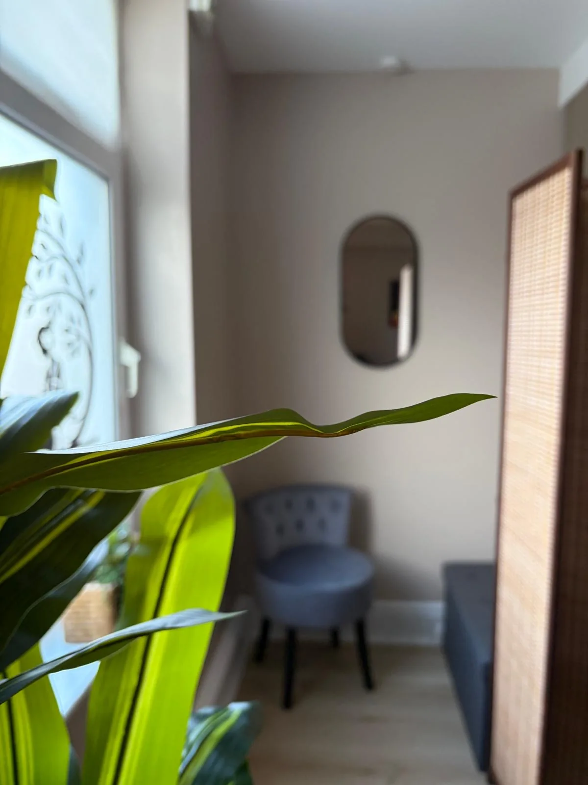 Leafy entrance to the quiet waiting area at Saranya's Thai Bodywork